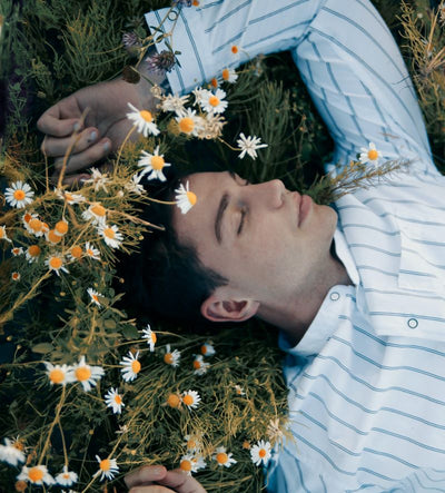 Teas for Sleep & Relaxation
