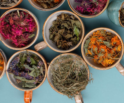 varieties of herbs and dried flowers in cups
