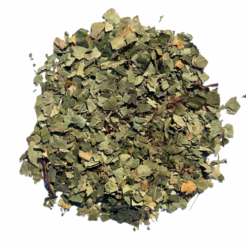 Birch Leaf Tea