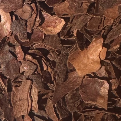 Cacao Husk - Organic