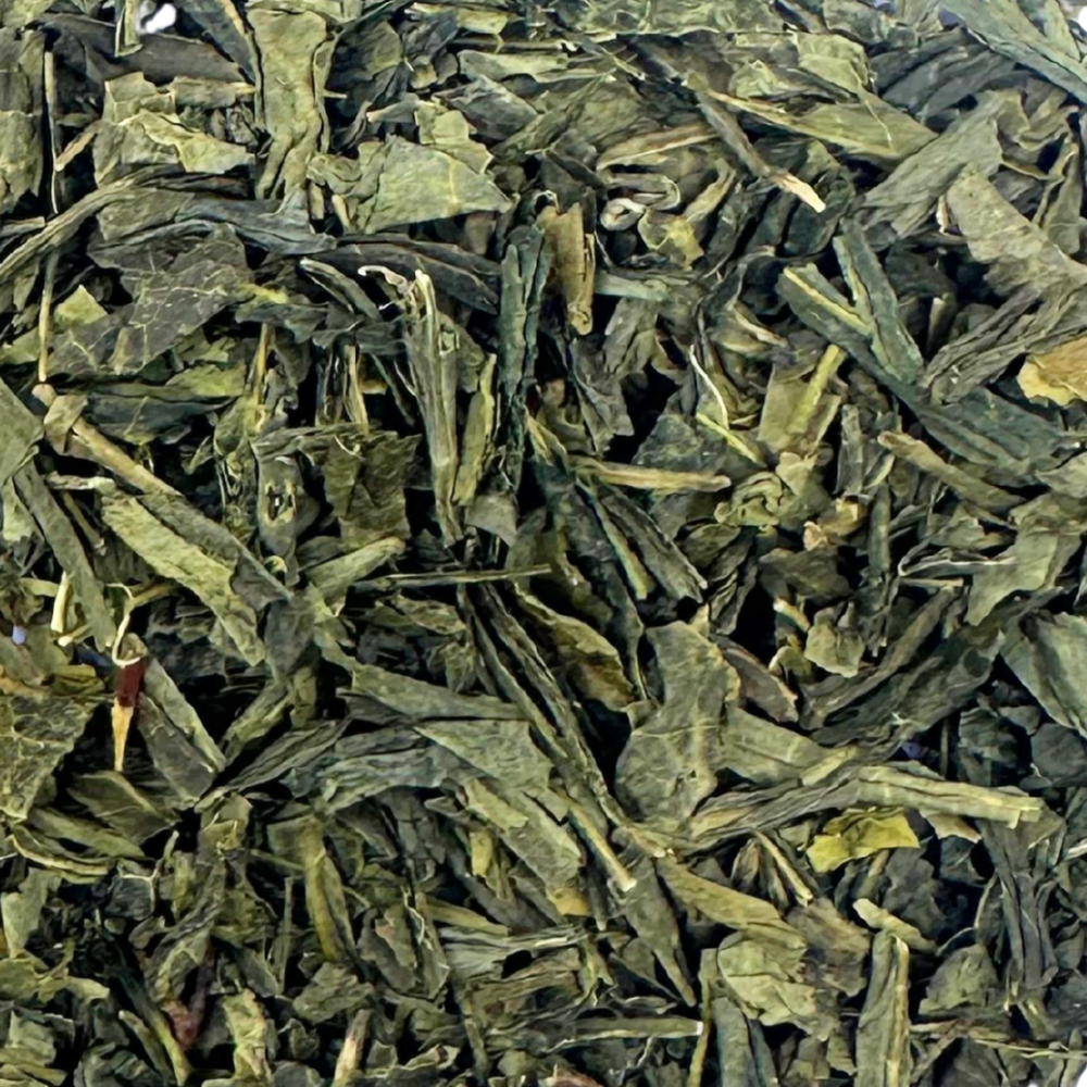 Organic sencha green tea close up