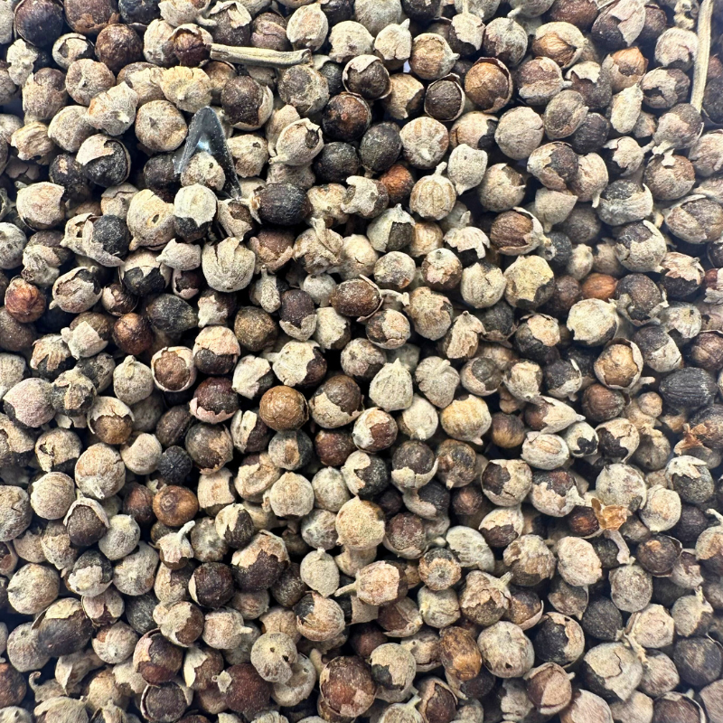 Chaste tree berries